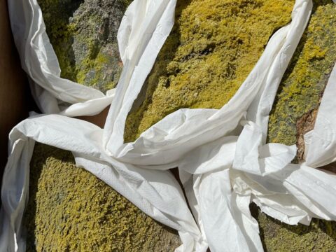Pyromorphite Flat, Broken Hill (stock code FLATpyro0123)
